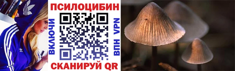 сколько стоит  Боровичи  Псилоцибиновые грибы MAGIC MUSHROOMS 